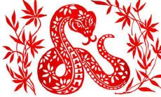 属蛇人2021年年龄多大了 生肖蛇2021年分别几岁