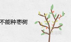 为什么门前不能种枣树 是凶树吗