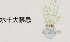 门口种竹子风水十大禁忌