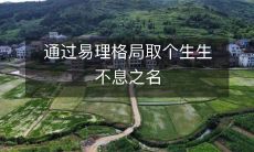 通过易理格局取个生生不息之名