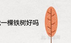 大门前左右各栽一棵铁树好吗 可以旺宅旺风水