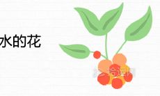 院子里最旺风水的花 旺宅旺财的植物