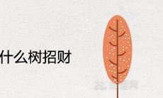 房子后面种什么树招财旺宅风水好