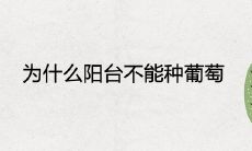 为什么阳台不能种葡萄 有哪些忌讳讲究