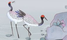 2022年5月17日开张日子好不好 是大吉日子吗