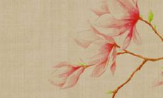 2022年5月6日是开张吉日吗 这天开业好不好