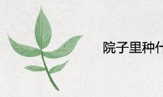 院子里种什么花好旺宅旺风水