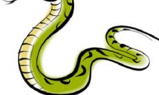 2021年生肖蛇和太岁三合 2021年属蛇运势解读