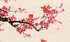 2022年5月2日新店开张好不好 是上等吉日吗