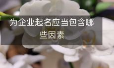 为企业起名应当包含哪些因素