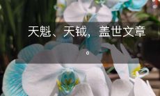 天魁、天钺,盖世文章。