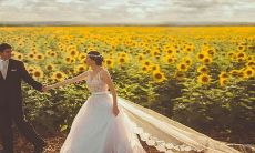 属马和属猴能过到一辈子吗 二人婚配合财吗