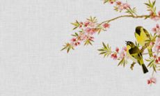 2022年5月5日立夏开张日子好么 商铺营业吉利吗