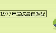 1977年属蛇最佳婚配 2022婚姻运势