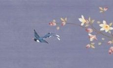 2022年10月25日适合装修吗 装修居室好不好