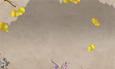 2022年10月11日适不适合装修房子 可以装修房屋吗