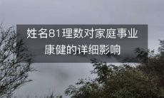 姓名81理数对家庭事业康健的详细影响