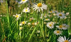 称骨算命几斤几两的命运最好