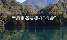 严肃更名要抓好“机会”