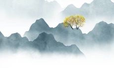 男生入赘到女方家还要给彩礼吗 依当地习俗而定