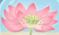 AB型血的人交往禁忌