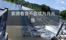 紫微看会不会成为月光族