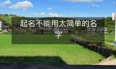 起名不能用太简单的名字