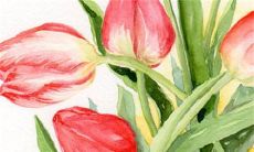 半嫁半娶要给礼金的吗 彩礼嫁妆皆可免