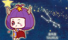 不考虑实际 总是闭门造车的星座