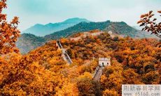 养鱼养单不养双是什么意思