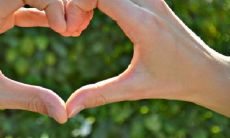 2023年什么属相易添丁 兔宝相合父母属相