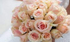 2022年11月婚嫁最佳日子查询 成亲吉日查询