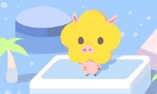 容易给人内向印象的几大生肖