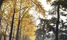 女人发横财的前兆是什么 女人如何提升偏财运