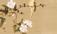 2022年11月18日五行穿衣一览表 今日最旺颜色查询