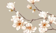 2022年11月16日五行穿衣分享 最佳幸运色查询