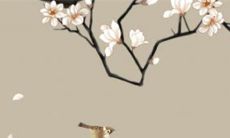 五行穿衣旺运:2022年11月12日穿衣幸运色搭配分享