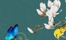 今日五行穿衣:2022年11月7日立冬穿什么颜色旺运势