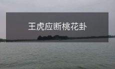 王虎应断桃花卦