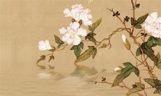 今日五行穿衣:2022年11月17日穿什么颜色旺运势