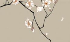 2022年11月11日五行穿衣指南 今日衣服颜色搭配查询