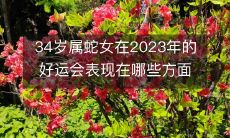 34岁属蛇女在2023年的好运会表现在哪些方面