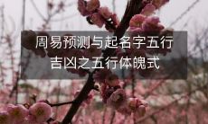 周易预测与起名字五行吉凶之五行体魄式