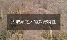 大成绩之人的紫微特性