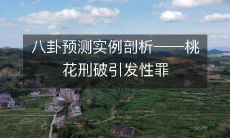 八卦预测实例剖析——桃花刑破引发性罪