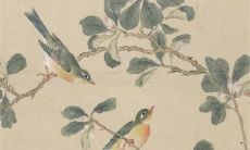 2023文昌位在家里哪个方向 四绿文曲星飞临中宫方