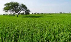 床尾适合摆放什么好 床尾千万别放的东西