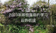 2023年哪些星座的学习运势很强