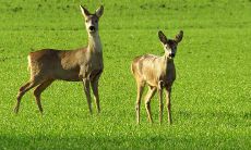 2022年热门男生名字集锦 最佳男宝宝名字