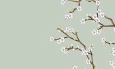 2022年9月19日五行穿衣一览表 今日最旺颜色查询